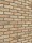 Texas VB EF Rijswaard