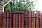 Штакетник М-образный А 0,45 Print Twincolor Golden Wood